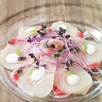 鰤のカルパッチョ　茎わさびと泡醤油