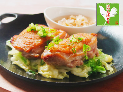 はかた地どりの旨塩焼き　香味野菜ソース