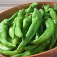 万願寺とうがらし