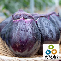 泉州水なす