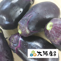 泉州水なす