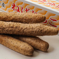 長いも ねばりっこ