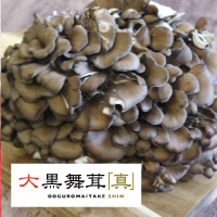 大黒舞茸「真」