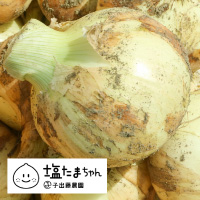 塩たまちゃん